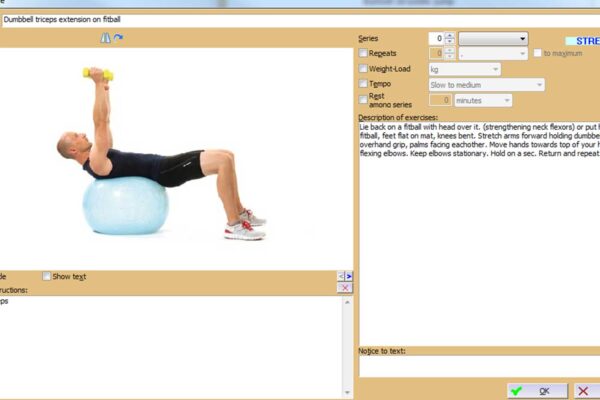 beeSPORT Lux Trainer - Image 3