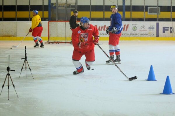 beeSPORT | Tester & Reporter - Image 4