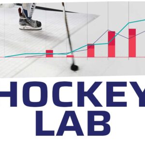 hockey lab