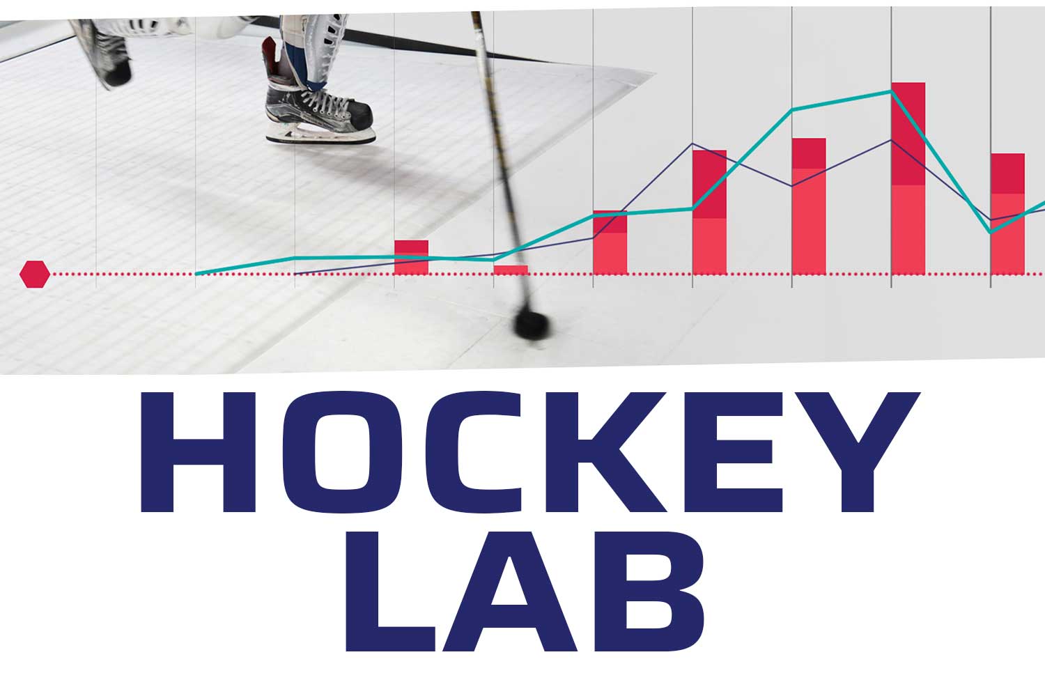 hockey lab